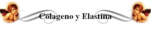 Colageno y Elastina