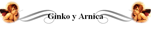 Ginko y Arnica
