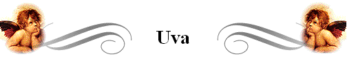Uva